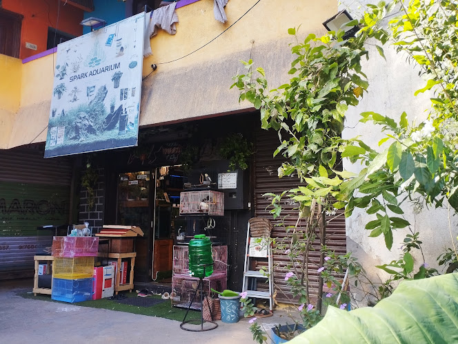 Spark Aquarium — Aquarium shop